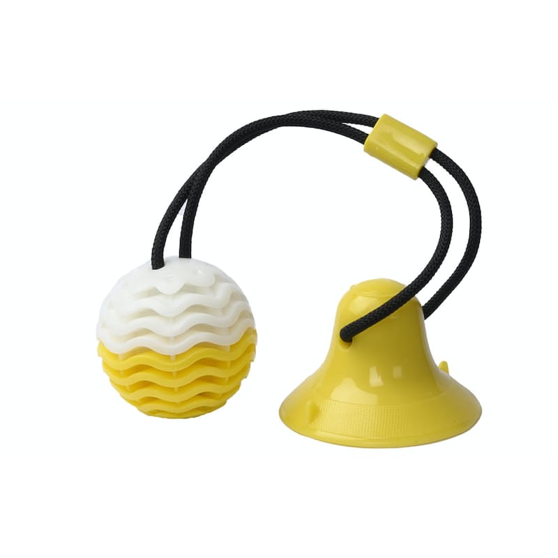 Interactive Dog Chew Toothbrush Toy for Dental Health & Fun