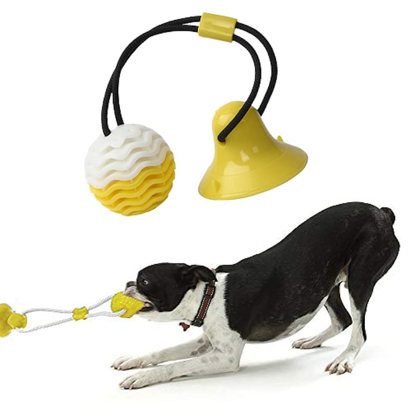 Interactive Dog Chew Toothbrush Toy for Dental Health & Fun
