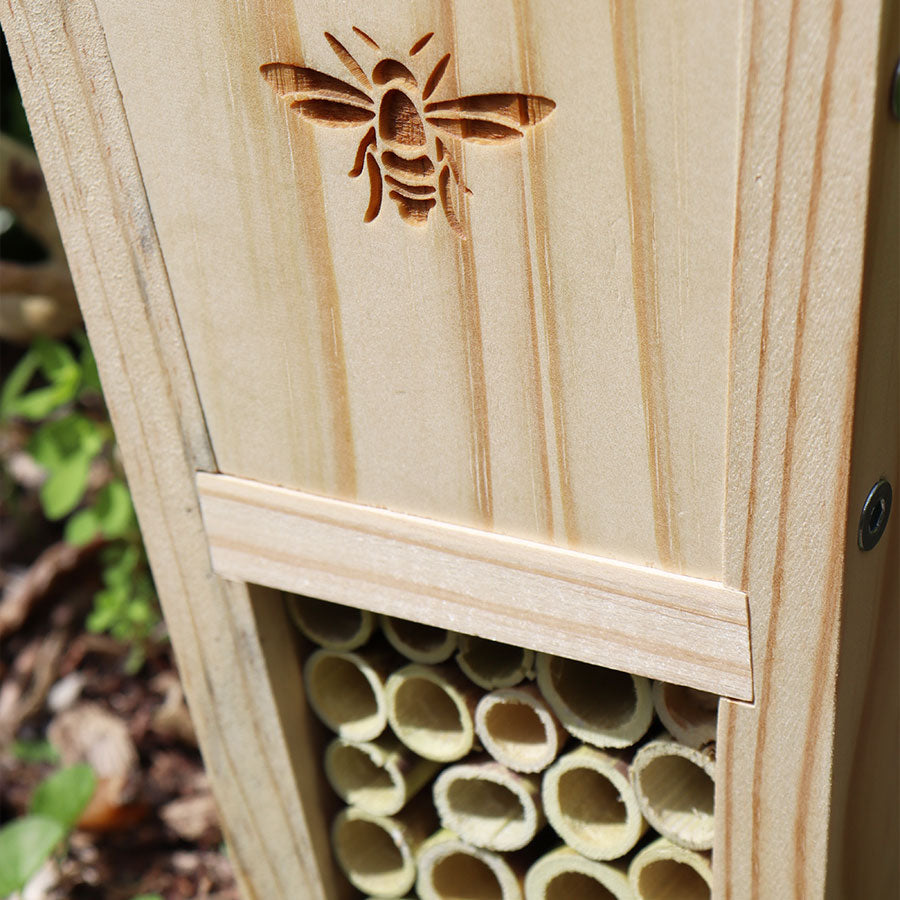 Gogga (Insect) Hotel Kit