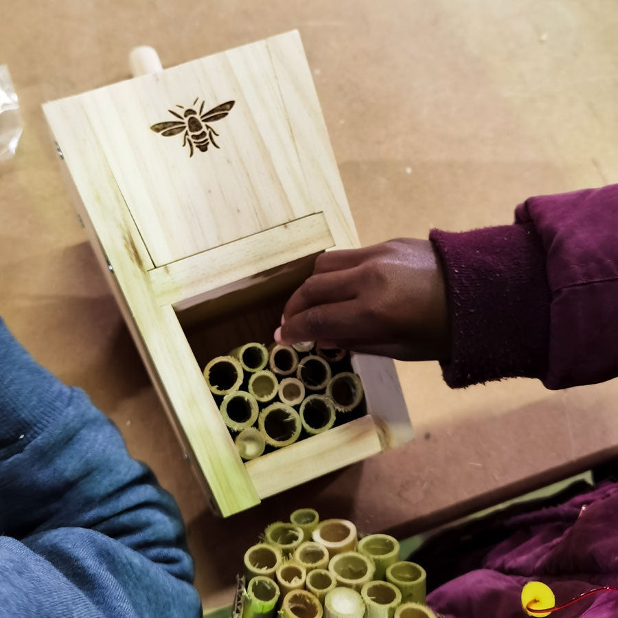 Gogga (Insect) Hotel Kit