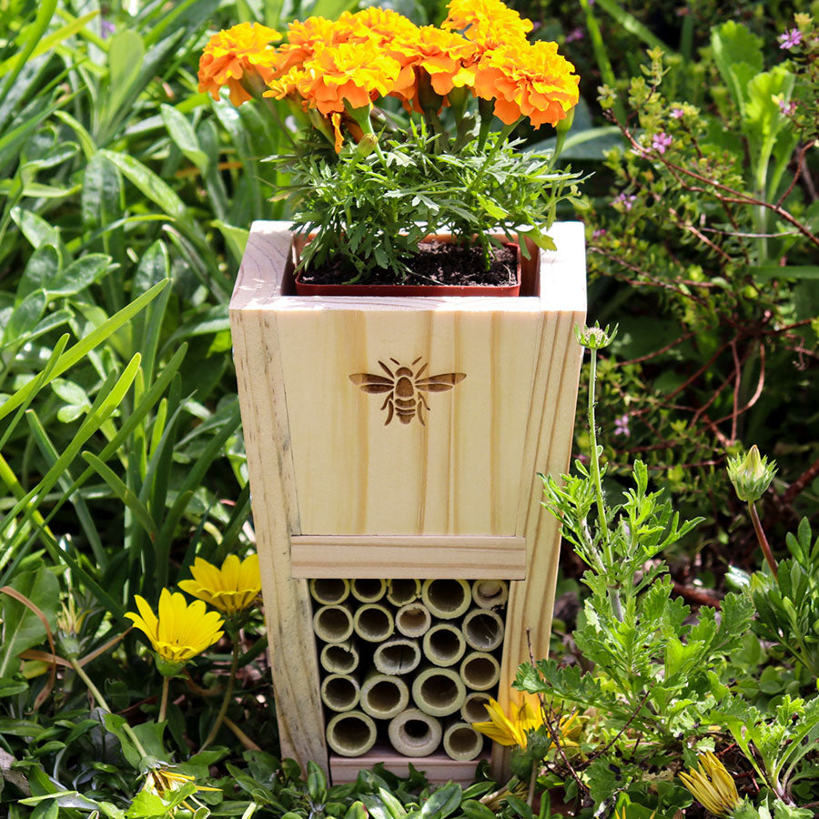 Gogga (Insect) Hotel Kit